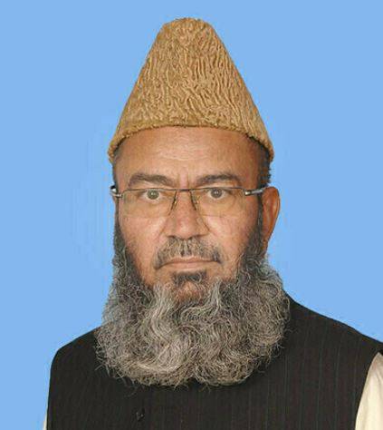 حافظ عبدالکریم نے سینیٹ کی سیٹ جیت لی، ن لیگ کا جشن
