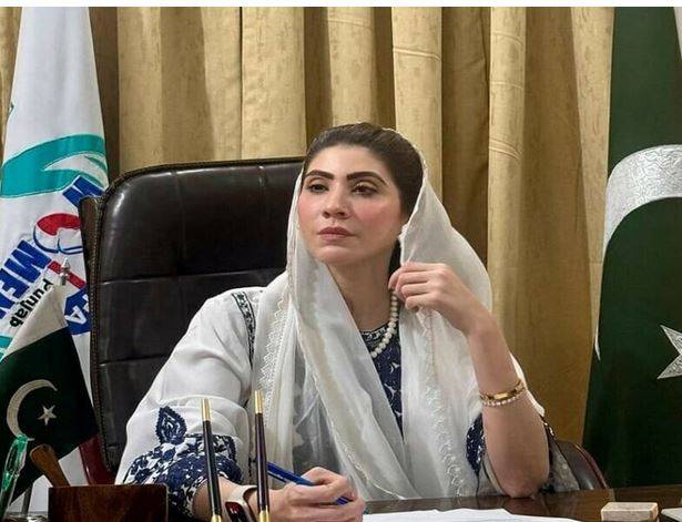 شاہدرہ: شوہر نے بیوی کو چھریوں سے زخمی کیا، مریم نواز کی ہدایت پر حنا پرویز بٹ کا نوٹس