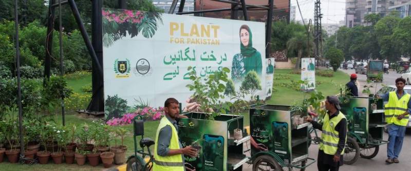 وزیراعلیٰ مریم نواز کی ہدایت پر سموگ کے تدارک کیلئے پی ایچ اے کے تاریخی اقدامات