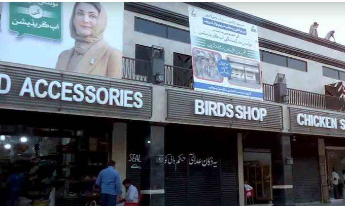 ٹولنٹن مارکیٹ کی تعمیر نو کا دوسرا مرحلہ شروع، جدید سہولیات اور محفوظ انفراسٹرکچر فراہم کیا جائے گا