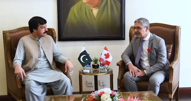 گورنر پنجاب سے کینیڈین ہائی کمشنر کی ملاقات، دوطرفہ تعلقات پر تبادلہ خیال