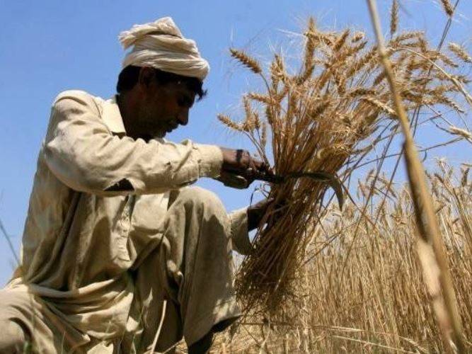 کسان اتحاد پاکستان لاہور پریس کلب کے باہر 11 نومبر کو احتجاجی بھوک ہڑتال کرے گا