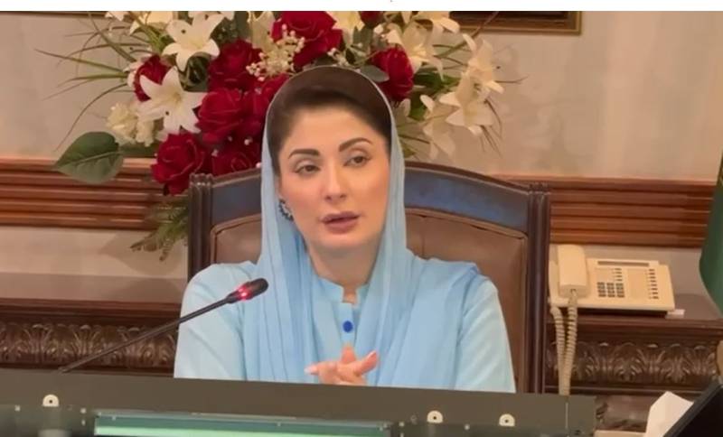 پنجاب میں ماحول دوست اقدامات: پٹرول رکشے بند، سرکاری خریداری صرف الیکٹرک گاڑیوں تک محدود
