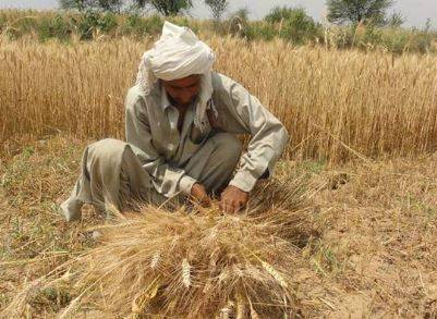 پنجاب حکومت کا کسانوں کے لیے بڑا اقدام، ہائی ٹیک زرعی مشینری پر 3 کروڑ روپے تک بلا سود قرض کا اعلان