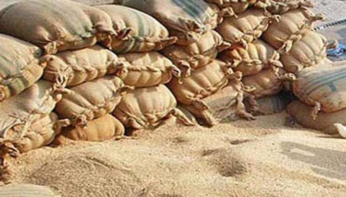  پنجاب حکومت کی گندم پالیسی 2026 کا اعلان، نئی سرکاری قیمت 3,500 روپے فی من مقرر