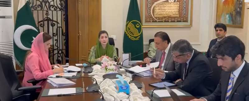 پنجاب میں کفایت شعاری مہم کا باقاعدہ آغاز: وزراء اور افسران کی 2 ماہ کی تنخواہ قومی فنڈ میں جمع ہوگی