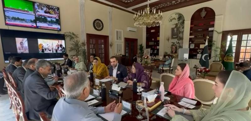  مریم نواز کا کسانوں کے لیے تاریخی پیکیج؛ 6 ارب روپے کا باردانہ مفت دینے اور گندم کی فوری خریداری کا اعلان