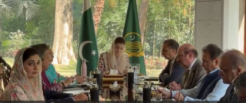 نوجوانوں کو روزگار کی فراہمی: پنجاب میں ہاسپیٹیلٹی اور ہیلتھ کیئر کے لیے 4 ارب روپے کا میگا پراجیکٹ منظور