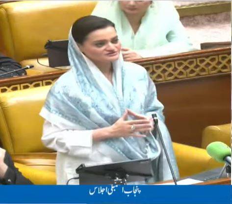 محرم سکیورٹی سے ماحولیات تک، پنجاب حکومت کے اقدامات جاری