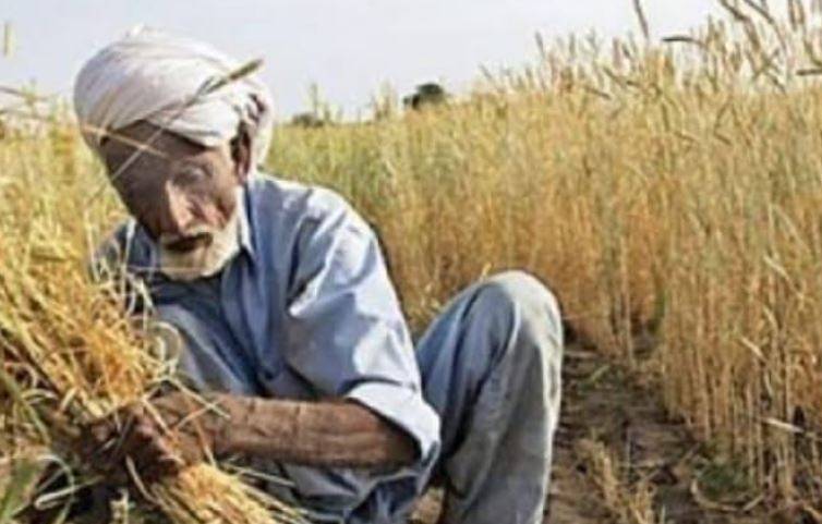 پنجاب میں زرعی شعبے کی بڑی پیش رفت، 10 لاکھ کسان کارڈز کی فراہمی کا ہدف قریب