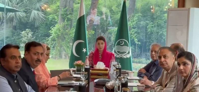 مریم نواز کا گرین اکنامک زون کے قیام پر آمادگی کا اظہار، سرمایہ کاری کے فروغ کے لیے مراعاتی پیکج کا اعلان